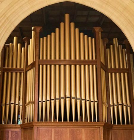 The organ pipes